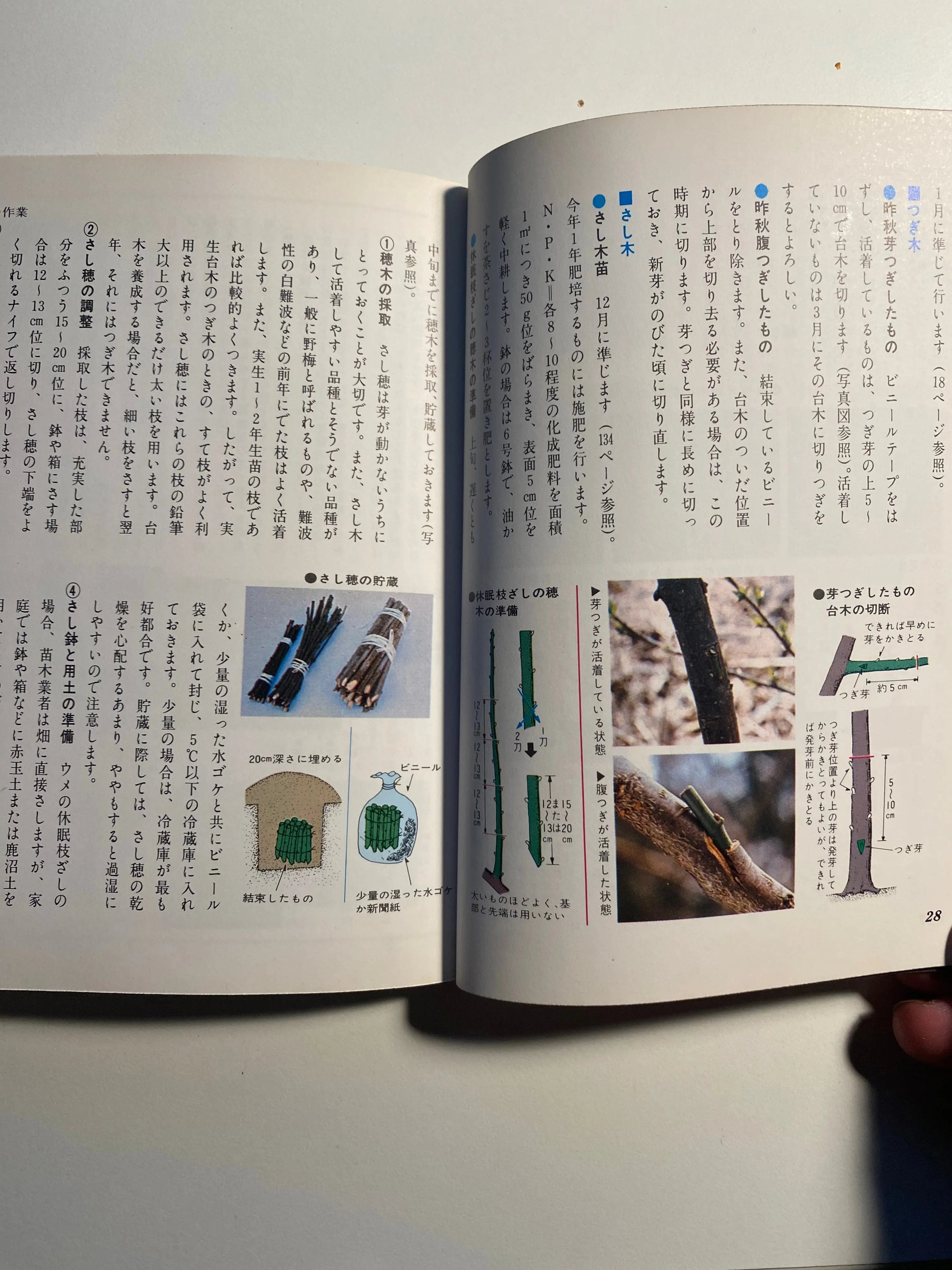 Ume book CB Books