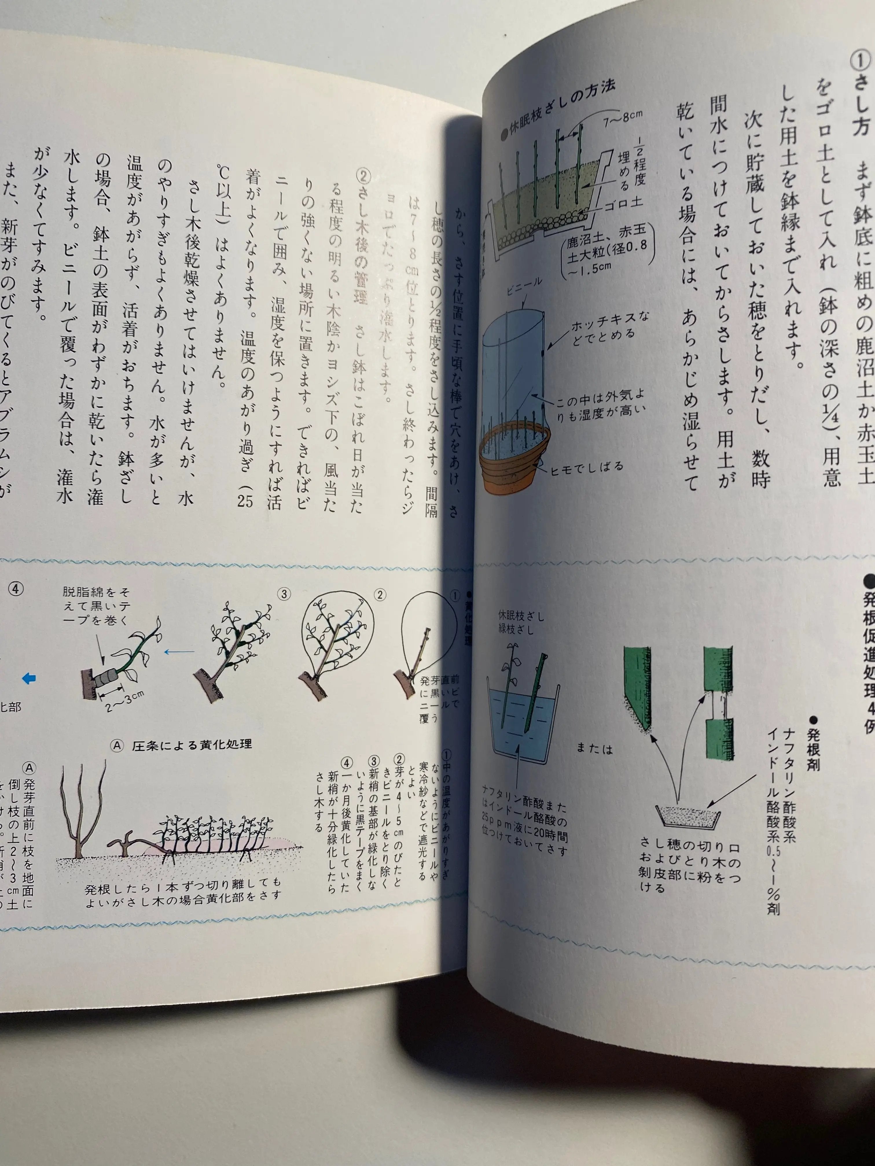 Ume book CB Books